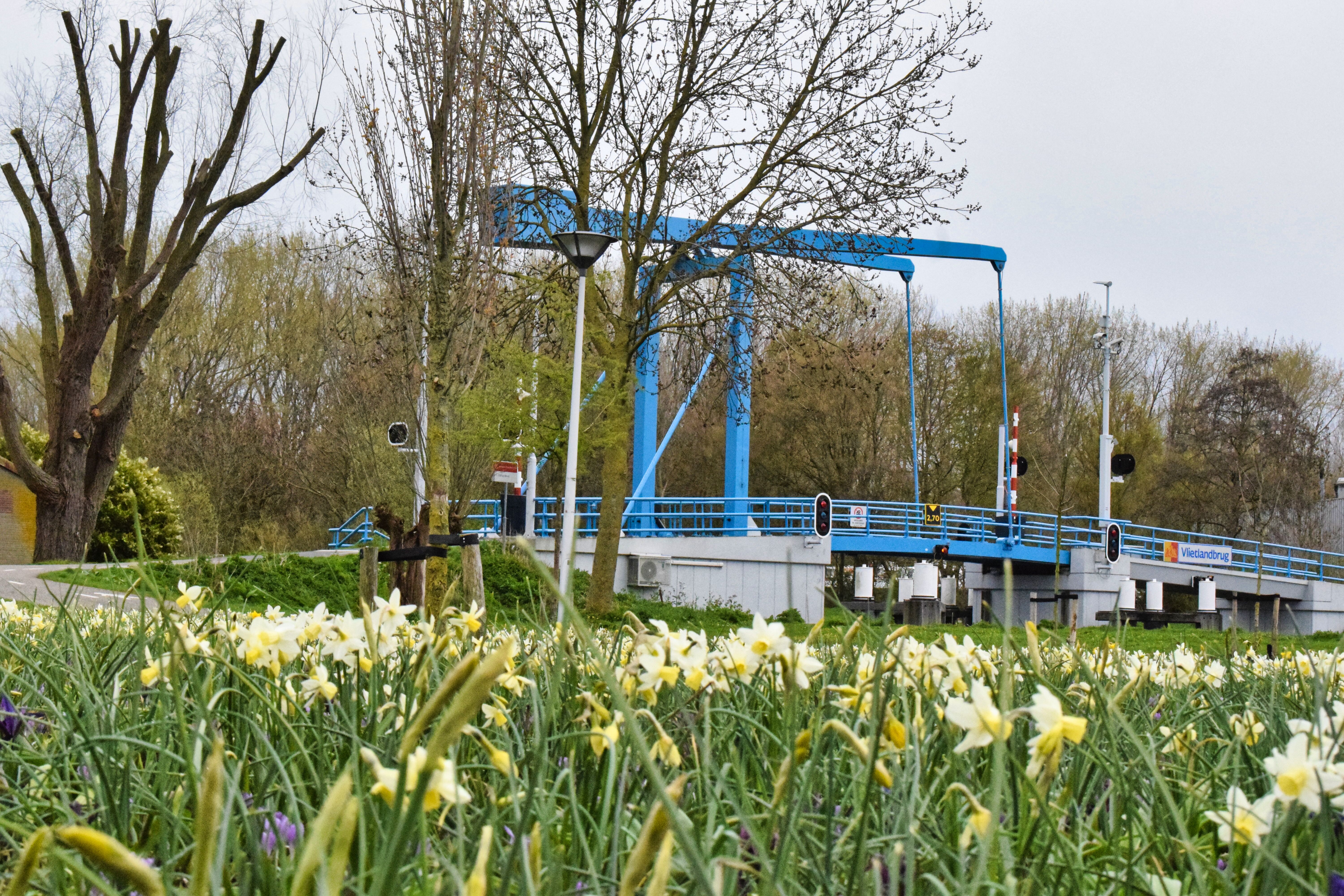 Foto van de Vlietlandbrug